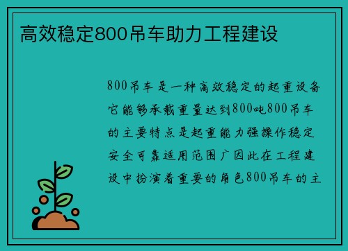 高效稳定800吊车助力工程建设
